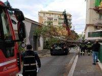 Roma, albero cade su un’auto di passaggio