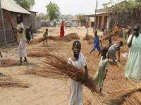 Testimonianza-Niamey: modello diocesano di nuova evangelizzazione