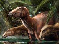 Ecco dov’è il primo giacimento di fossili di dinosauro in Italia