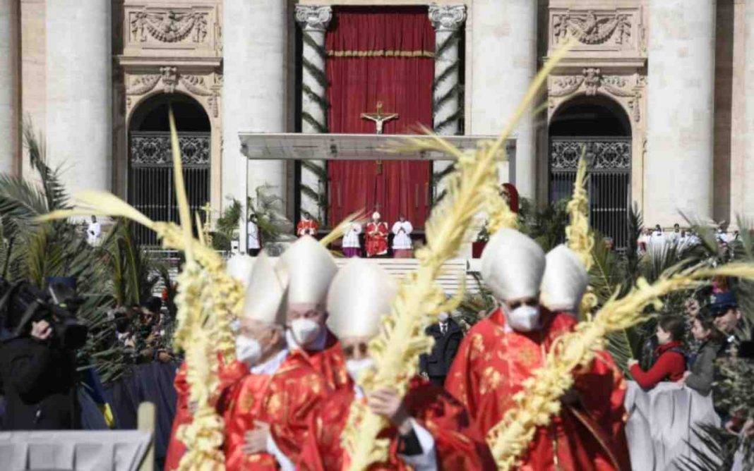 Papa Francesco Palme Cristo