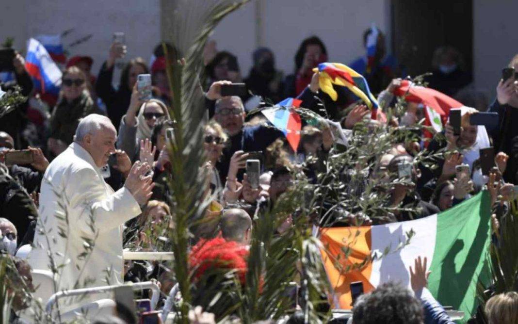 Papa Francesco Angelus tregua