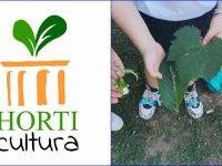 Pascale (Horticultura): “L’orto insegna l’attesa e la cura”