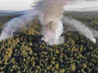 Germania: brucia il bosco Grunewald di Berlino