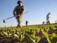 Cop27: siccità e diversificazione delle colture. L’Italia riparte dall’agricoltura