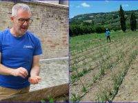 “Fondo Lavoro”: la Caritas di Fermo in campo per sconfiggere la disoccupazione