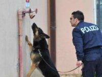 Genova, spacciatore arrestato dopo aver offerto droga a un poliziotto