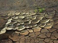 Allarme siccità nella Spagna del Sud, manca l’acqua