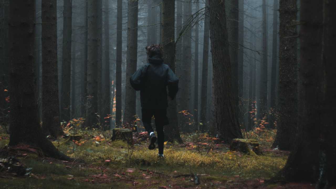 Trovato morto il runner scomparso in Trentino, forse ucciso da un animale