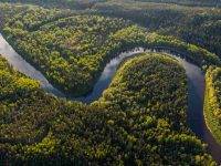 Siccità in Amazzonia: dal Rio delle Amazzoni riemergono “tesori” dal passato