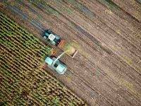 Agricoltura eroica: uno dei tesori delle zone rurali dell’Italia