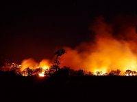 Tenerife in fiamme: “Incendio mai visto prima”