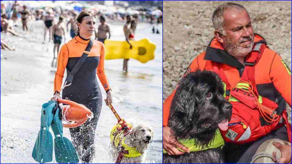 cani spiaggia