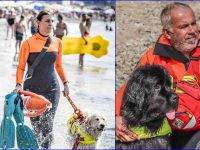 Cani-bagnino: la sicurezza a quattro zampe sulle spiagge italiane