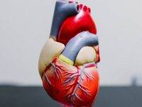 Commissione Ue: ridurre le patologie cardiovascolari