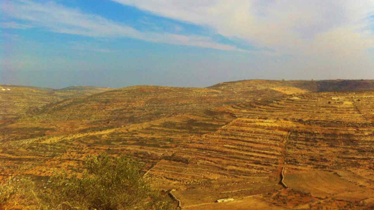 La spinosa la questione degli insediamenti israeliani in Palestina