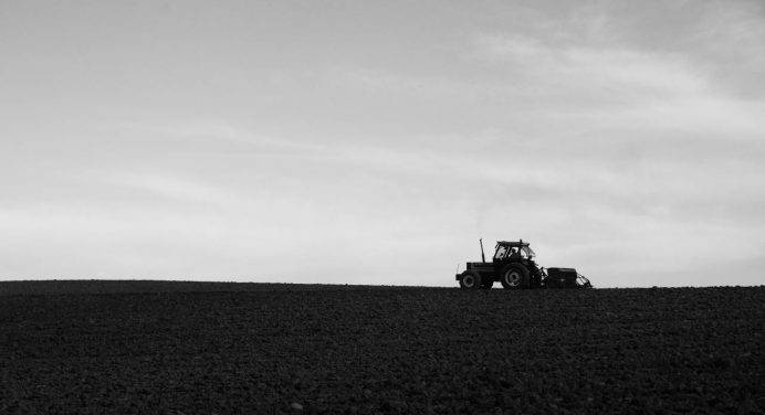 Giornata del Ringraziamento: il “No” della Cei all’agrobusiness