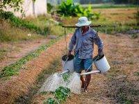 Agricoltura smart: la tecnologia in campo per non sprecare l’acqua