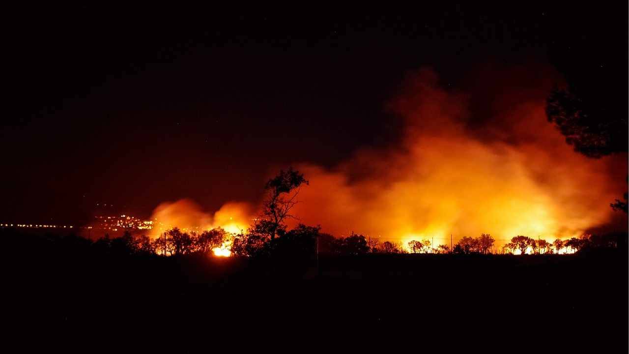 Bolivia: milioni di ettari di superficie boschiva in fiamme