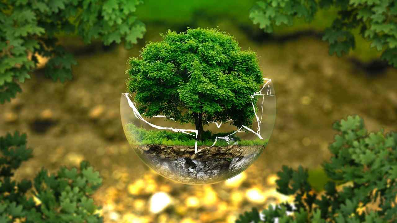 Bernini: “L’importanza della sostenibilità e della tutela della biodiversità”