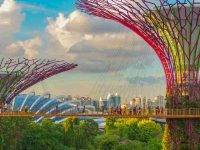 Singapore è la prima città marittima del mondo e la più green