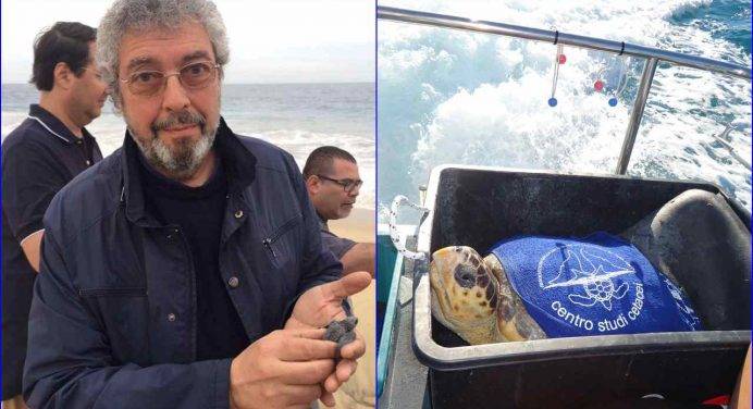 L’impegno del centro di recupero per tartarughe marine: il racconto di Vincenzo Olivieri
