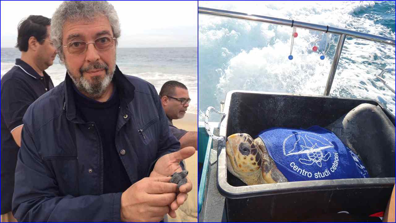 L’impegno del centro di recupero per tartarughe marine: il racconto di Vincenzo Olivieri