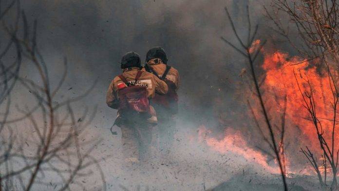 Incendi boschivi