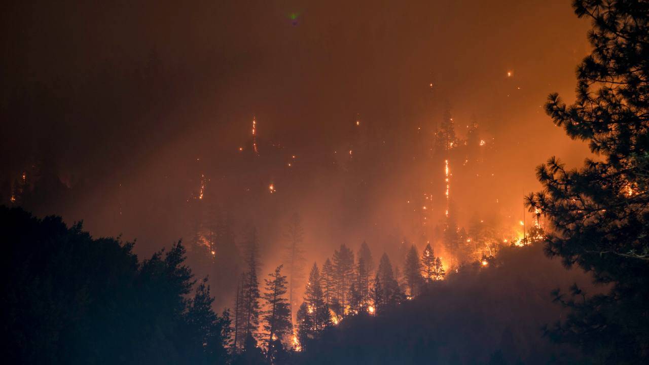 Incendio Sardegna