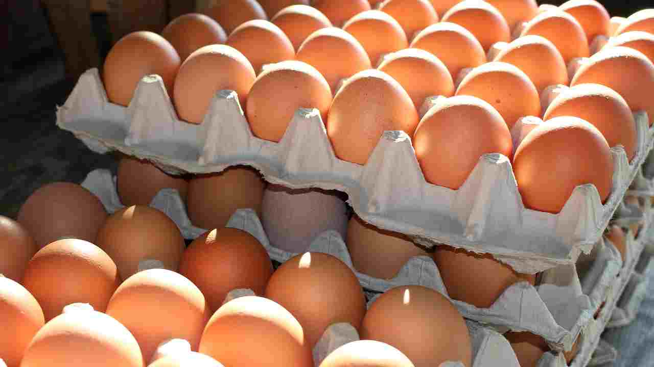 Ue: dazi in arrivo su uova e zucchero importati dall’Ucraina