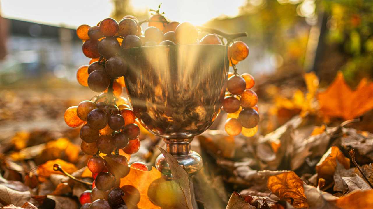 Preziosissimo sangue: le origini della festa