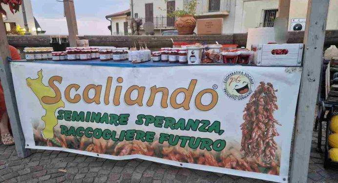 “Progetto Germano”, legalità e inclusione che valorizzano le eccellenze calabresi