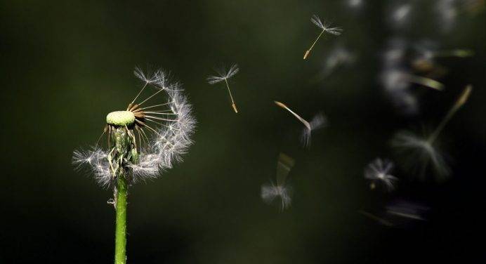 Contrastare le nuove fragilità: necessaria un’azione corale