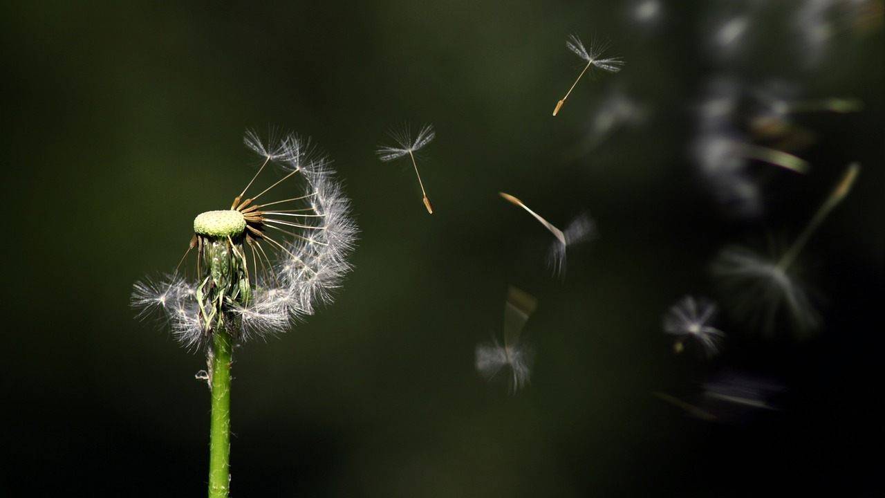 Contrastare le nuove fragilità: necessaria un’azione corale