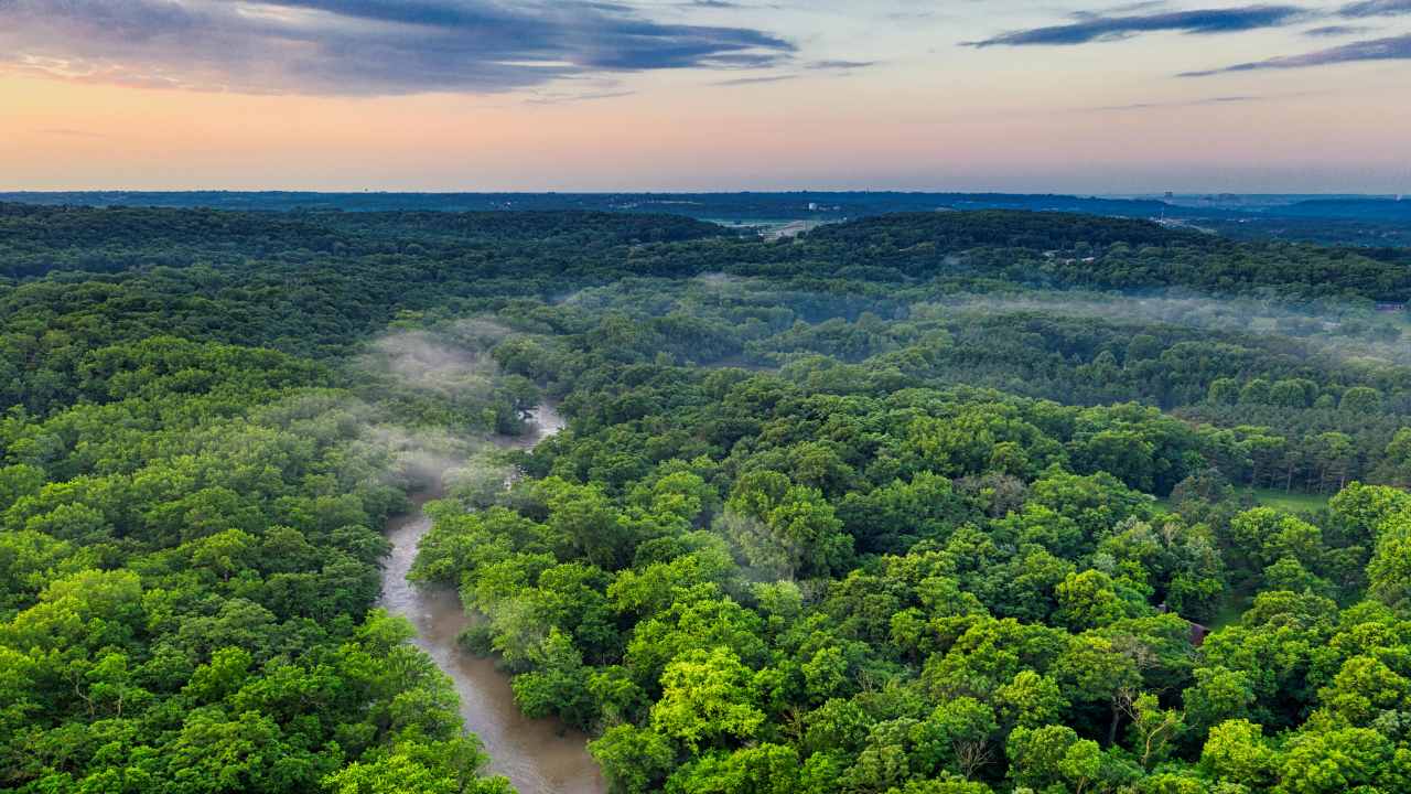 Un’app per l’agricoltura a “deforestazione zero”