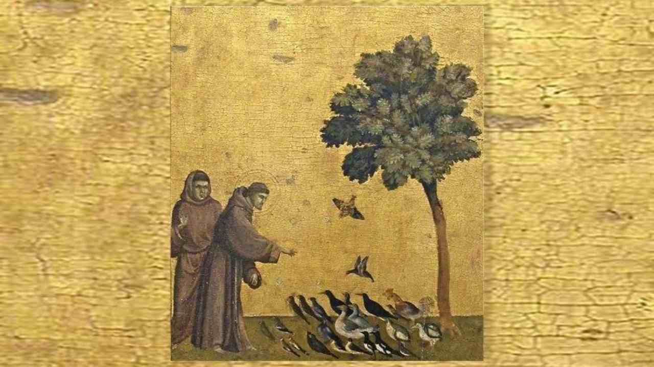 San Francesco: profeta di fraternità